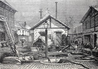 Leather processing, a tannery plant in 1880, digitally enhanced reproduction of a 19th century