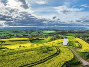 Rapeseed fields and Farms over Devon Windmill from a drone, Torquay, Devon, England, United Kingdom