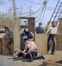 The transport of ostriches from South Africa to Australia by ship, an escaped ostrich is