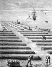 Oyster beds, oyster farming in the bay of Nouvelle-Aquitaine, Nouvelle-Aquitaine region, France,