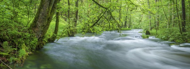 White water and rapids on the Trieb stream in the Triebtal nature reserve in Vogtland, Plauen,