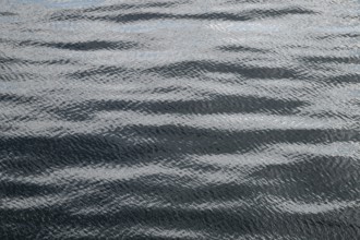 Small waves, sea, sea surface, Baltic Sea