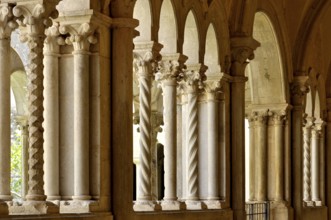 Slender Gothic columns, double columns with filigree capitals in the cloister, Gothic basilica of