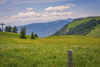 Cable car runs across a flowering meadow with a mountain panorama in the distance, Alpe di Siusi,