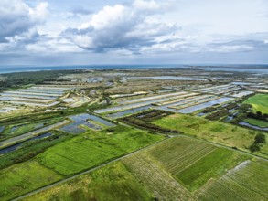 The Lilleau des Niges National Nature Reserve from a drone, The salt marshes,