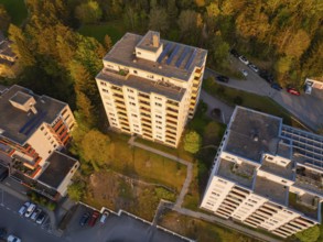Residential complexes surrounded by trees, with cars in car parks, bathed in warm evening light,