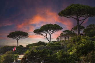 Sunset above Stecci beach, near Capoliveri, Elba Island, Tuscan Archipelago National Park, Tuscany,