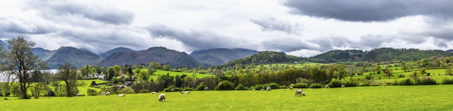 Panorama of Farms, Ullswater Lake, Lake District National Park, Cumbria, England, United Kingdom