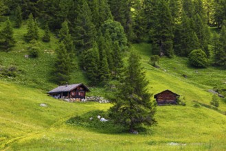 Alpine huts on a green meadow slope, Zinal Valley, Val d'Anniviers, Valais Alps, Canton Valais,