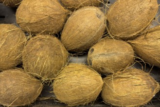 Coconuts in retail on the marketplace, international