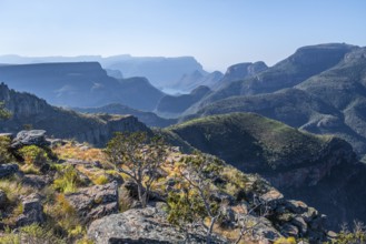 View of the Blyde River gorge, Lowveld Viewpoint, in the evening light, canyon landscape, Blyde