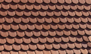 Red shingle roof, house roof, detail, Steyr, Upper Austria, Austria