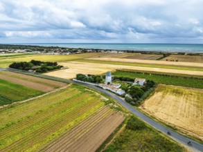 Fields and Grape plantations from a drone, Saint-Clement-des-Baleines, Atlantic, France