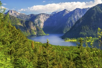 Panoramic view of the lake and the Dachstein foothills, Bad Goisern, Lake Hallstatt, UNESCO World