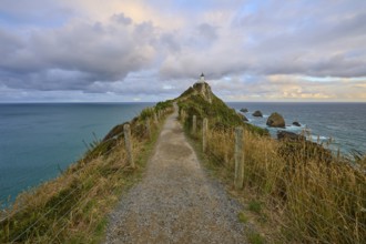 A path leads to a lighthouse on a rocky cliff by the sea, summer, Nugget Point Lighthouse, Ahuriri