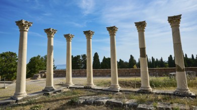 Arrangement of ancient columns against a natural backdrop and blue sky, Temple of Apollo,