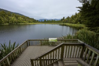 Wooden platform overlooking tranquil lake, surrounded by green vegetation, summer, Lake Matheson,