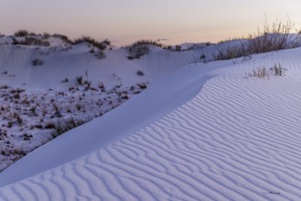 Windblown ripples on the white gypsum dunes at White Sands National Park in Alamogordo, New Mexico,