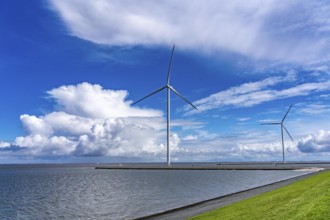 Strekdammen Wind Farm, wind farm at the seaport of Eemshaven in the Netherlands, built on offshore