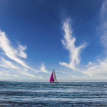 A sailboat glides across the Atlantic Ocean near Brittany, France. Its colorful sails contrast