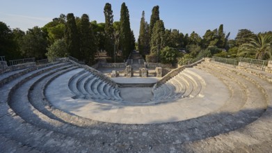 Ancient amphitheatre with rows of stone seats and large trees in the background, Ancient Theatre,