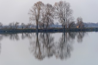 Evening mood at Moosinninger Weiher, quarry pond, fishing pond for carp, reflection of the trees on