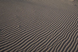 Wave-like wind-formed sand structures in close-up, Hvide Sande, North Sea, Denmark