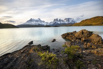 Shore of the blue lake Lago Pehoe in the evening light, Cuernos del Paine mountain range, Torres