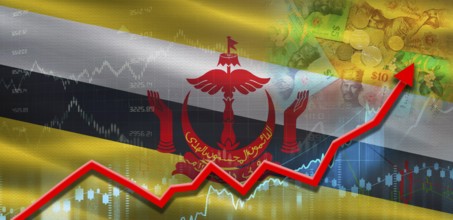 Brunei financial growth on market graph. Brunei economic growth on financial graph