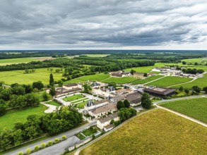 Vineyard of Chateau Beychevelle from a drone, Saint-Julien-Beychevelle, France