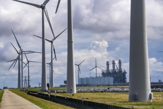 Magnum gas-fired power plant, operator RWE Power, with a capacity of 1410 megawatts, in the seaport