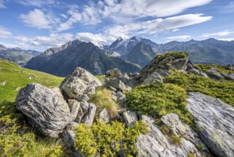 View from the Cabane du Louvie of the glaciated mountain peaks of the Grand Combine, Valais Alps,