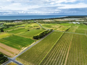 Fields and Grape plantations from a drone, Saint-Clement-des-Baleines, Atlantic, France