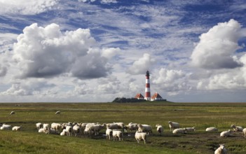Lighthouse of Westerhever with sheep North Sea Germany