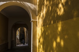 Picturesque alley in the old town, Grasse, Alpes Maritimes, Provence Alpes Cote d'Azur, French