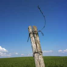 Two weathered wooden posts are tied together with twisted wire, standing tall against a vivid blue