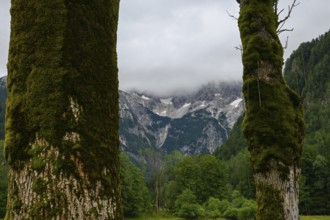 A view of the majestic Kamnik-Savinja Alps in Zgornje Jezersko, Slovenia, opens up through two