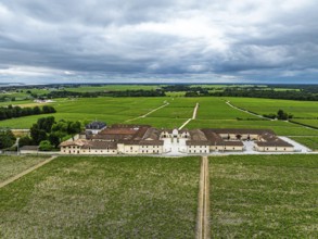 Chateau Pontet-Canet Vineyard and grape fields around Pauillac and Gironde Estuary from a drone,