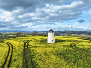 Rapeseed fields and Farms over Devon Windmill from a drone, Torquay, Devon, England, United Kingdom