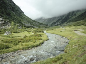 Windbach, Krimmler Tauern, Pinzgau, Salzburg, Austria