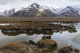 Permafrost, ice below the surface, Aventdalen, Longyearbyen, Spitsbergen, Svalbard