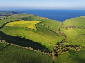 Farms and Fields over Brixham and Kingswear from a drone, Devon, England, United Kingdom