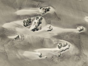 Small sand heaps form around the sparse vegetation in the Namib Desert. Aerial view. Drone shot.