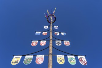 Guild tree, guild tree, guild sign, coat of arms of the various trades, in the Hochsauerlandkreis,