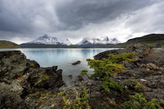 Cloudy mountain range Cuernos del Paine, shore of the blue lake Lago Pehoe in the evening light,