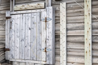 Nails on the wall of a hunting hut, protection from polar bears, wooden hut, Bamsebu, Spitsbergen,