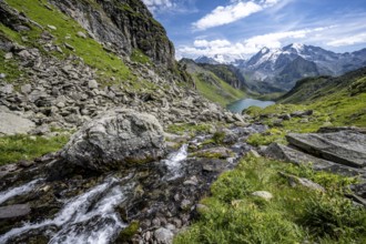 Mountain stream in picturesque mountain landscape, view of mountain lake Lac du Louvie and