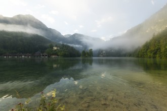 Mystical morning at Königssee in Schönau with boathouses and Christlieger. Sunrise and beautiful