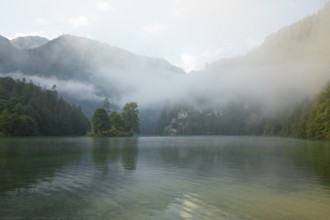 Mystical morning at Königssee in Schönau with boathouses and Christlieger. Sunrise and beautiful