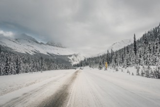 Winter road trip on the Icefields Parkway with lots of snow and ice, Banff National Park, Jasper